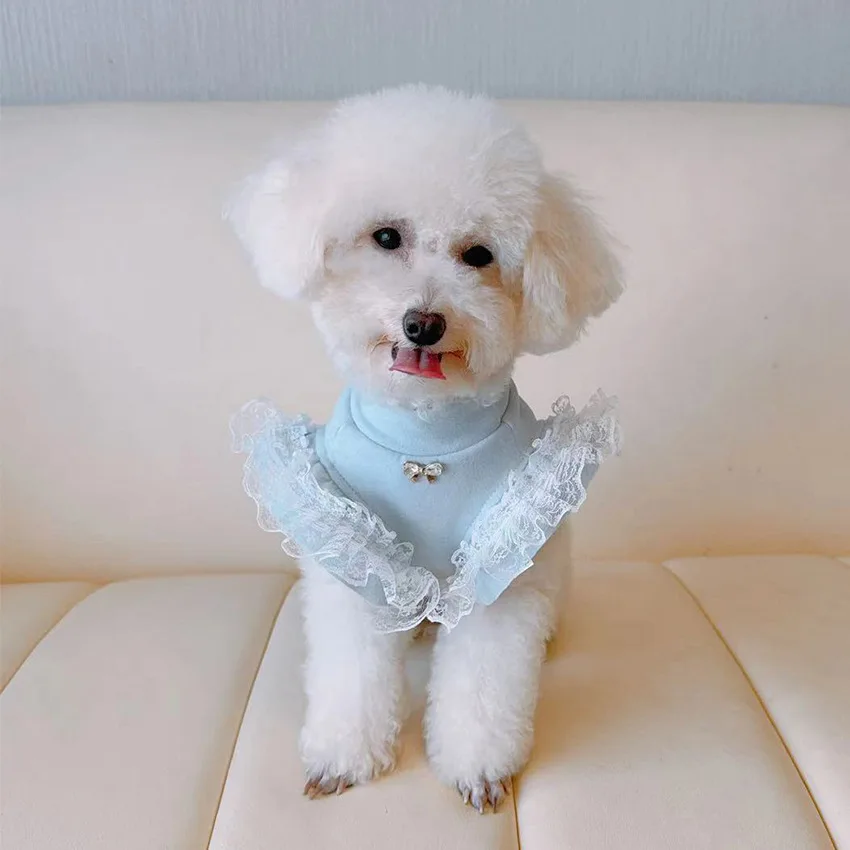 เสื้อผ้าสัตว์เลี้ยงฤดูใบไม้ร่ว - Lace Teddy Lingerie บทวิจารณ์และราคา
